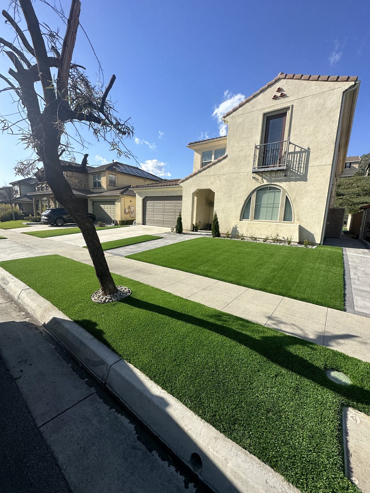 Bright artificial turf lawn framing a mature tree